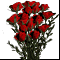 Букет красных роз 21